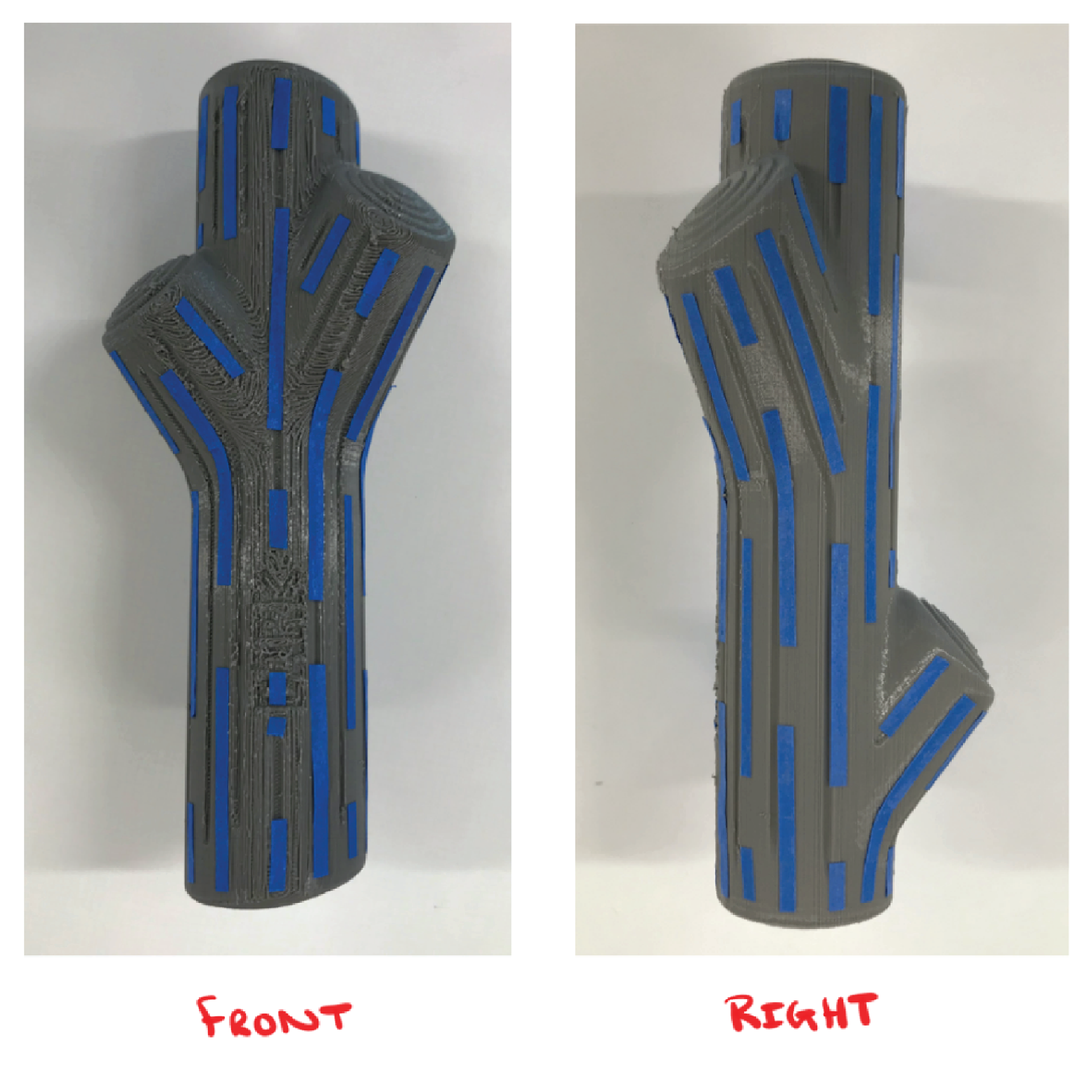 Jake Brosius，3D printing，Toys，Designed for dogs，Super chew，Super Chewer，