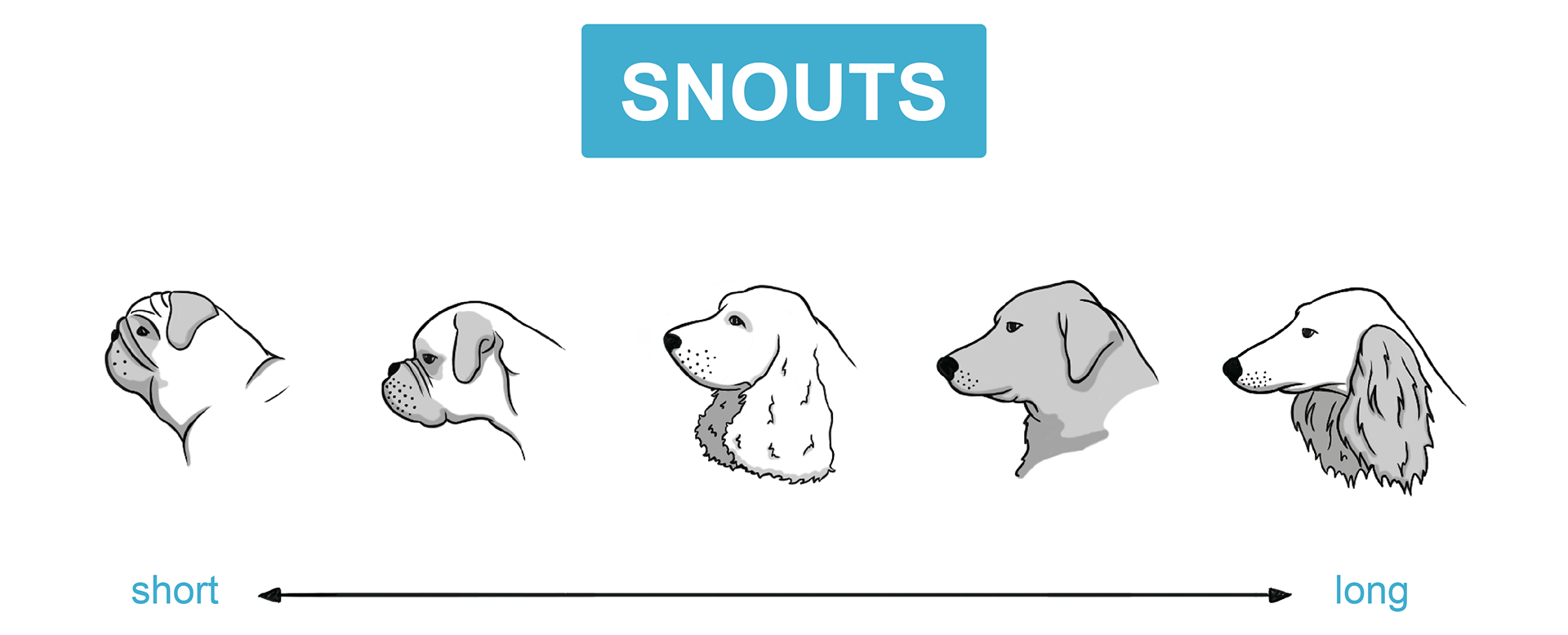 Jake Brosius，3D printing，Toys，Designed for dogs，Super chew，Super Chewer，