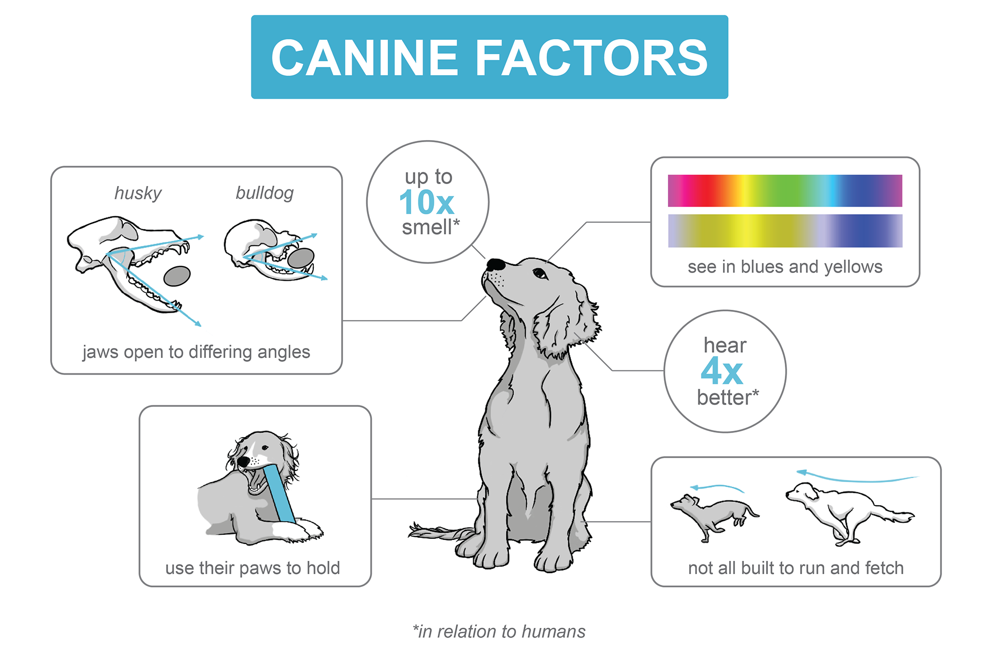 Jake Brosius，3D printing，Toys，Designed for dogs，Super chew，Super Chewer，