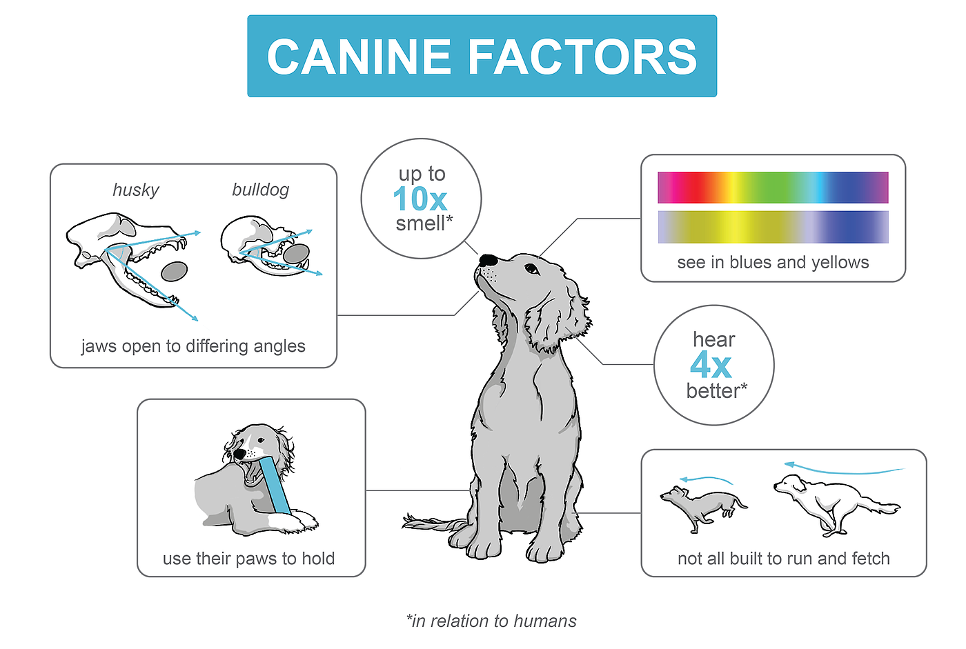 Jake Brosius，3D printing，Toys，Designed for dogs，Super chew，Super Chewer，