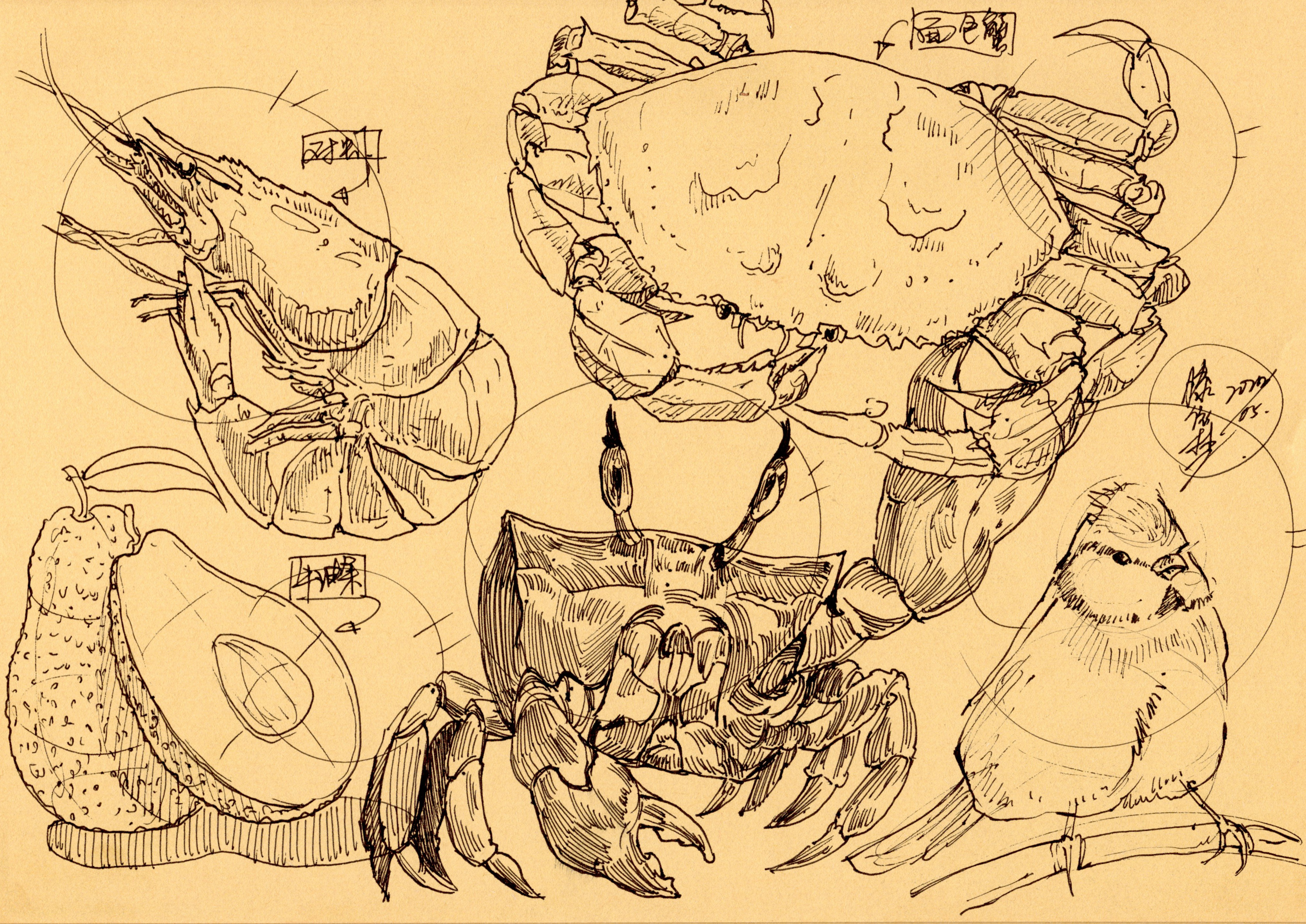 product design，industrial design，Hand drawn product design，Hand drawn industrial design，Product design postgraduate entrance examination，Postgraduate entrance examination for industrial design，Designer's Hand-painted Book，Teng Yilin hand-painted，