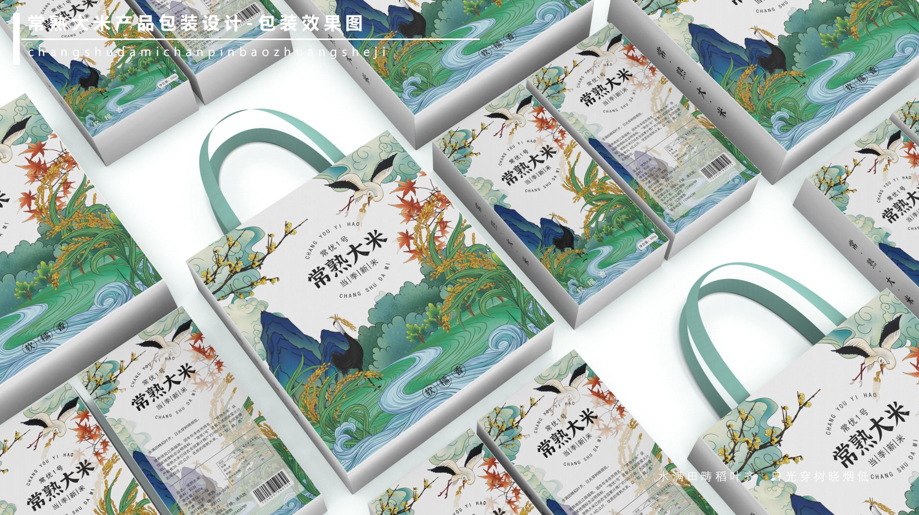 packing，rice，Hand drawn，