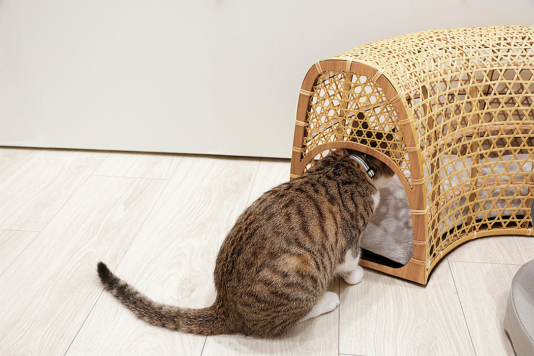 modularization，cat，furniture design ，Pets，product design，