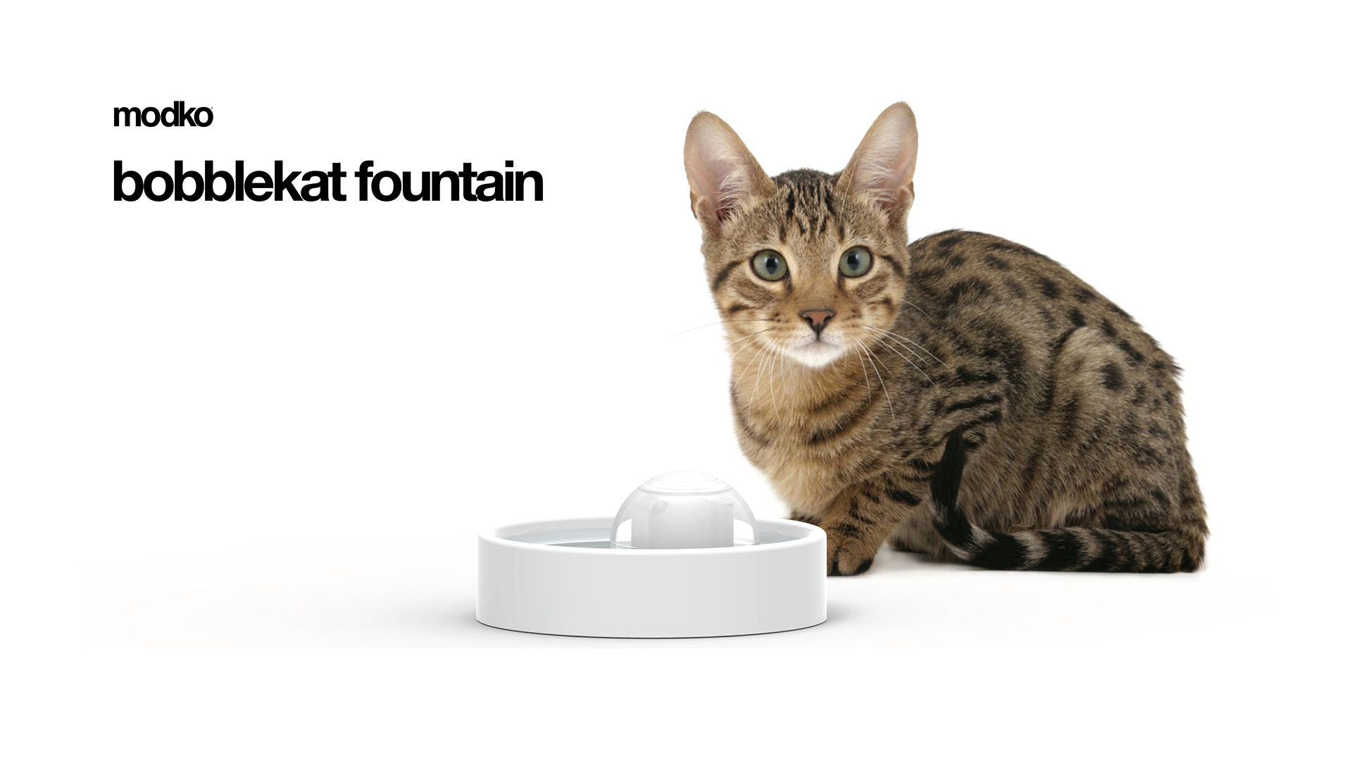 Pets，product design，drink water，