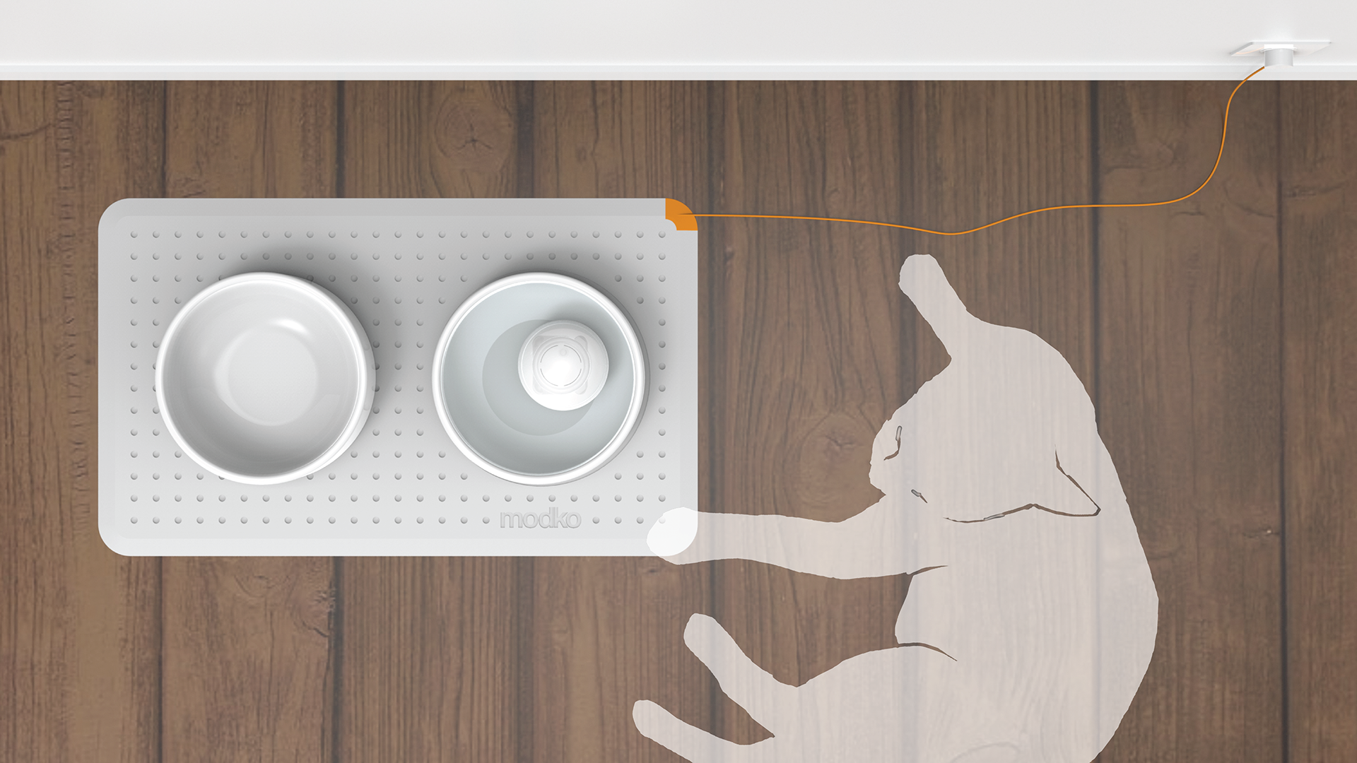 Pets，product design，drink water，