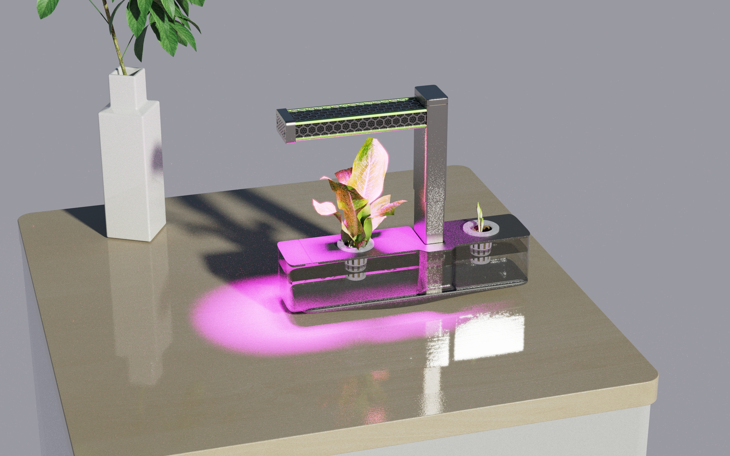 lamp，Desk lamp，Botany，Plant lamp，science and technology，biology，