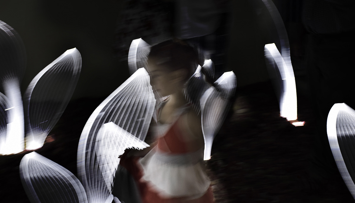 lamp，leaf，Organic element，visual effect，