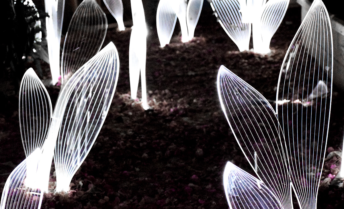 lamp，leaf，Organic element，visual effect，