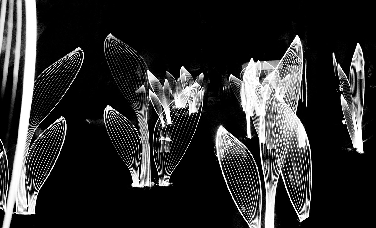 lamp，leaf，Organic element，visual effect，