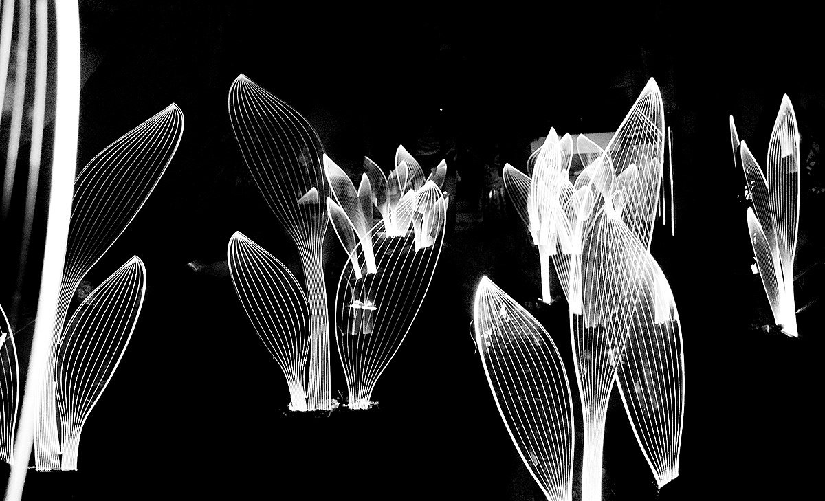 lamp，leaf，Organic element，visual effect，