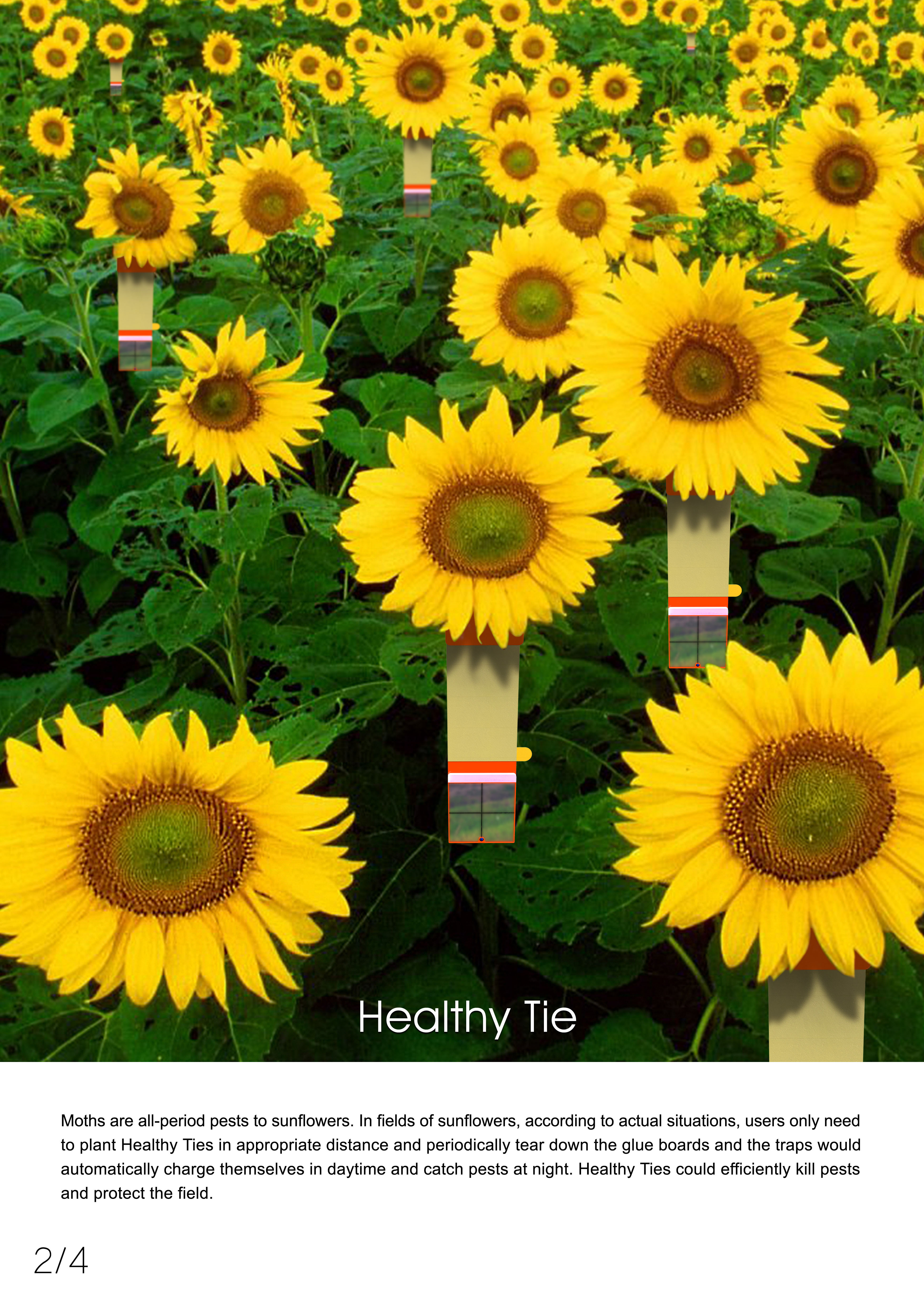 Spiral structure, paper drum，tienvy，