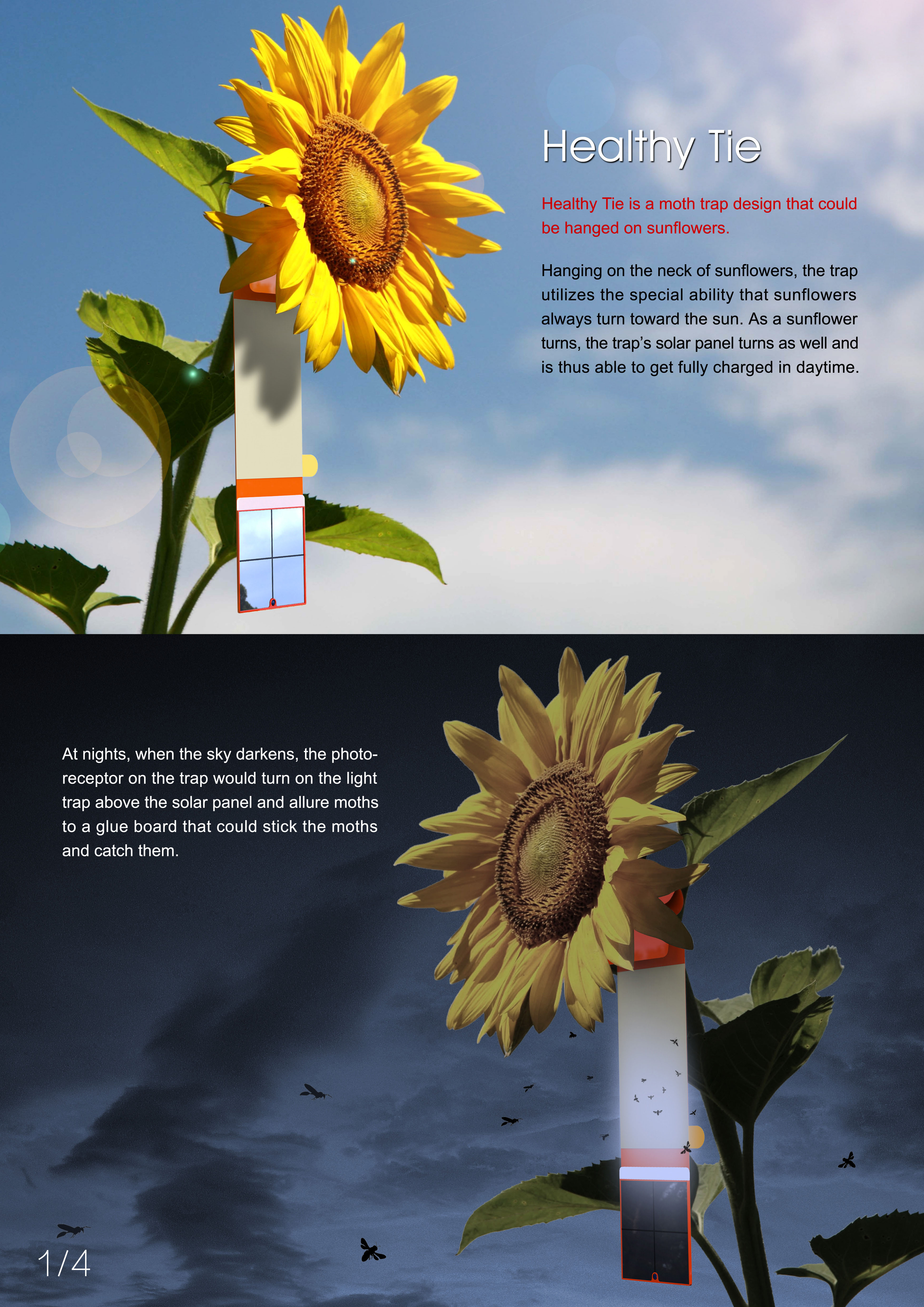 Spiral structure, paper drum，tienvy，