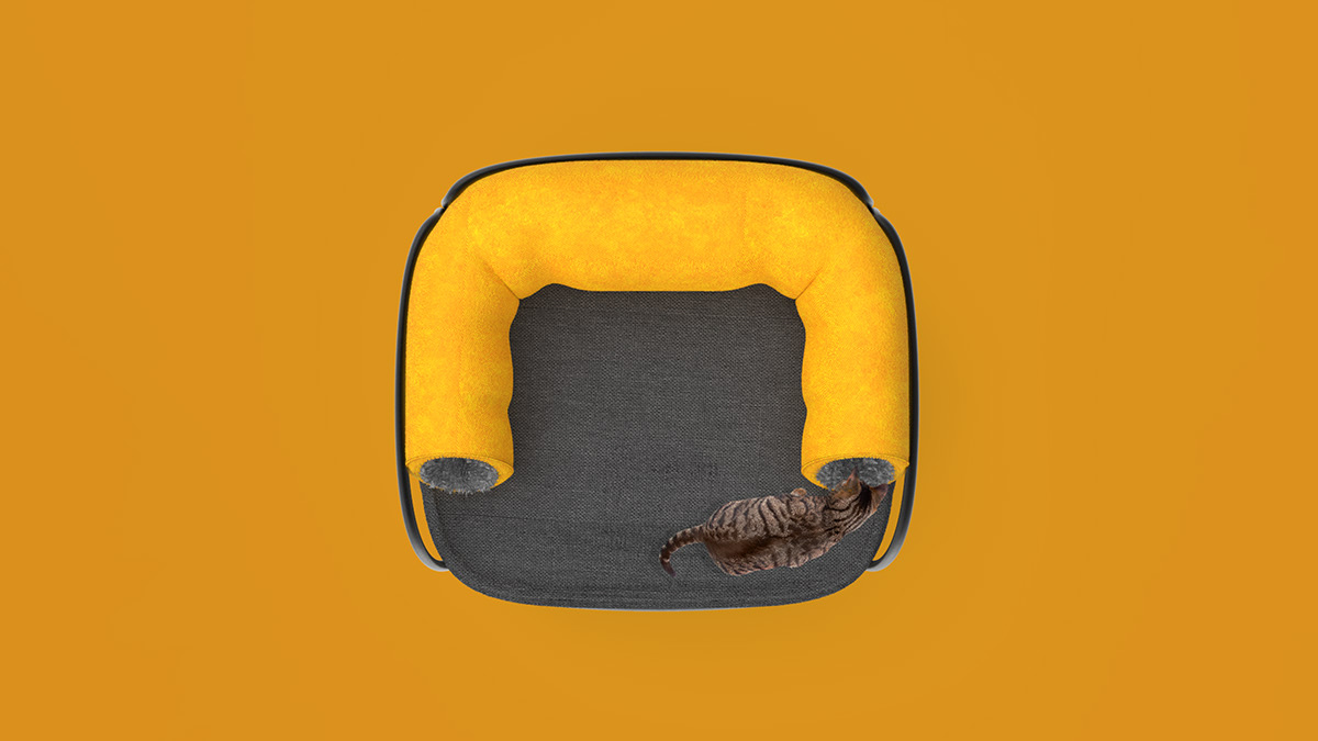 sofa，Pets，product design，cat，Design，furniture，