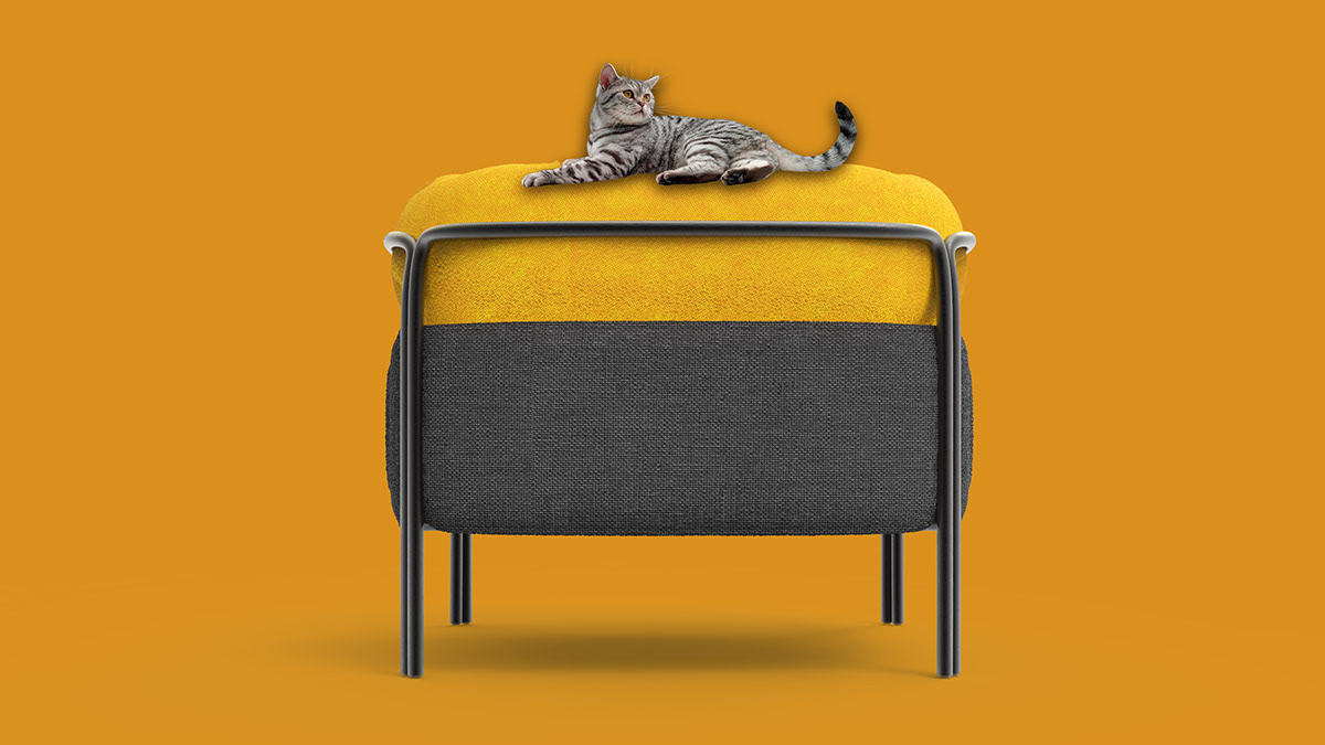 sofa，Pets，product design，cat，Design，furniture，