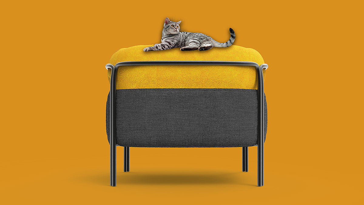沙发，宠物，产品设计，猫，设计，家具，