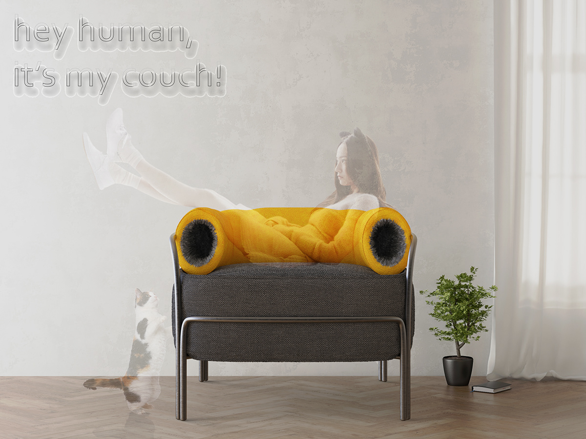 sofa，Pets，product design，cat，Design，furniture，