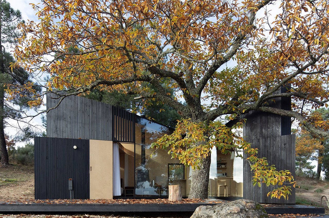 house，novel，cozy，natural，