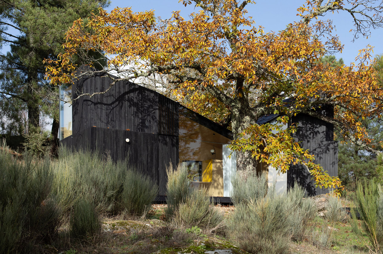 house，novel，cozy，natural，