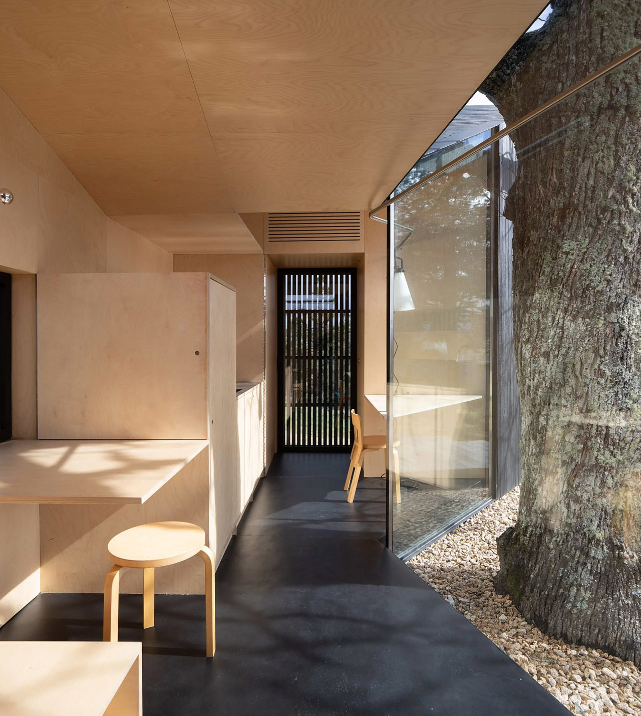 house，novel，cozy，natural，