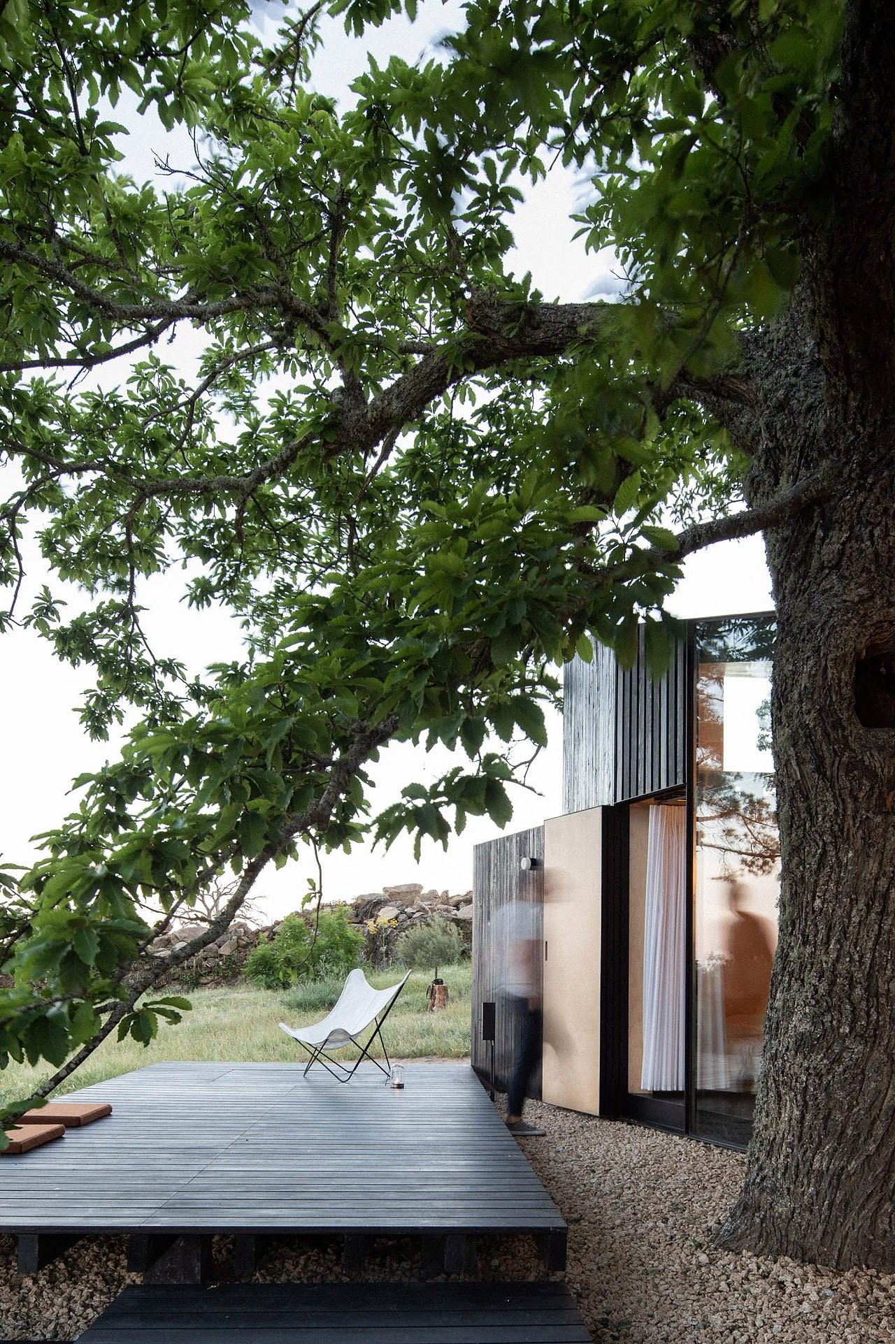 house，novel，cozy，natural，