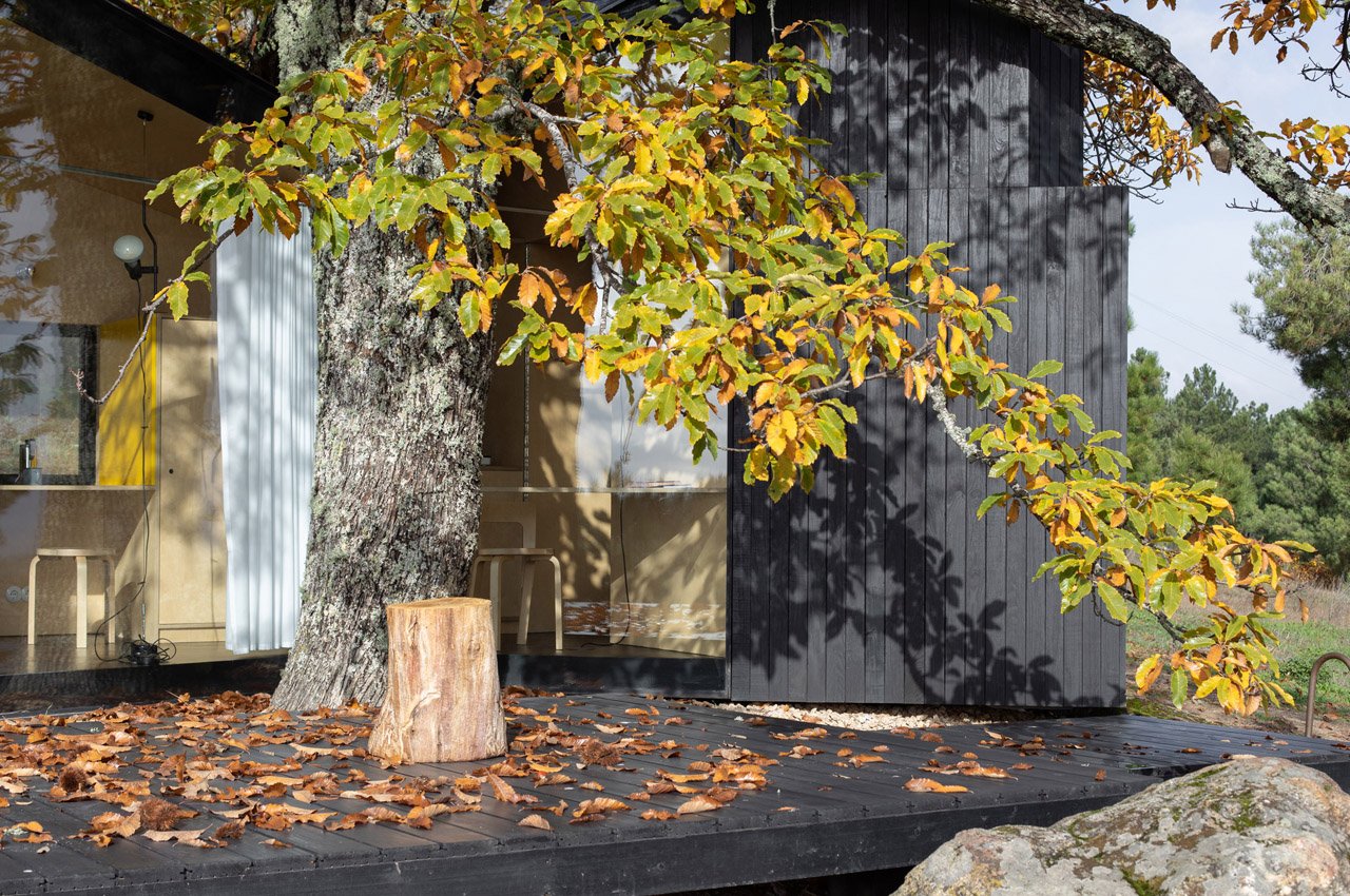 house，novel，cozy，natural，