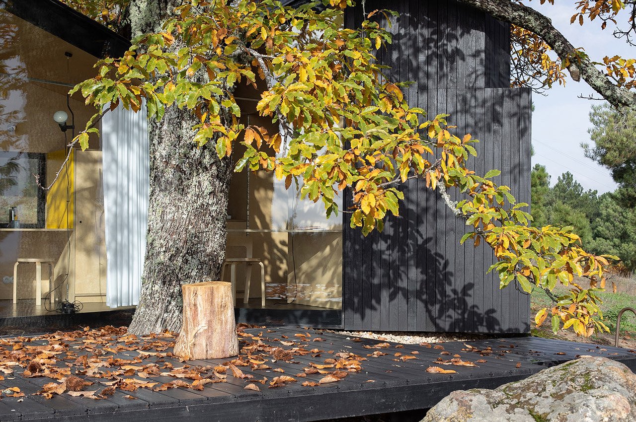 house，novel，cozy，natural，