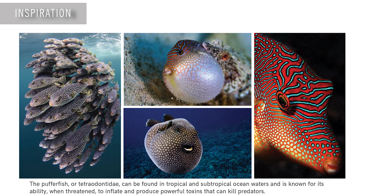 originality，ball，fish，Brainstorm，