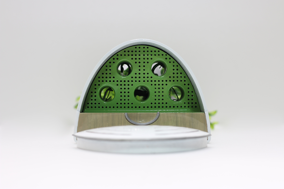 kitchen，ecology，Organic，Fruits and vegetables，plant，