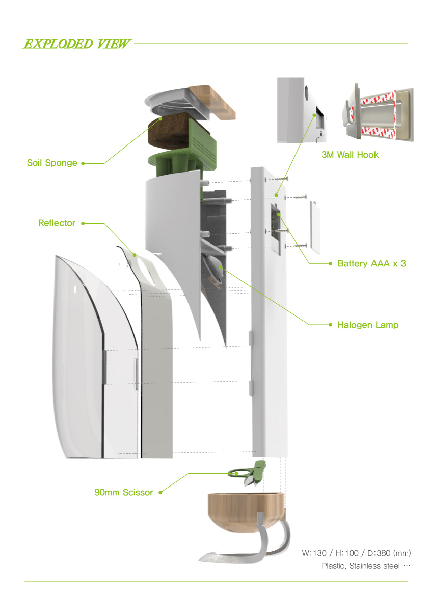 kitchen，ecology，Organic，Fruits and vegetables，plant，