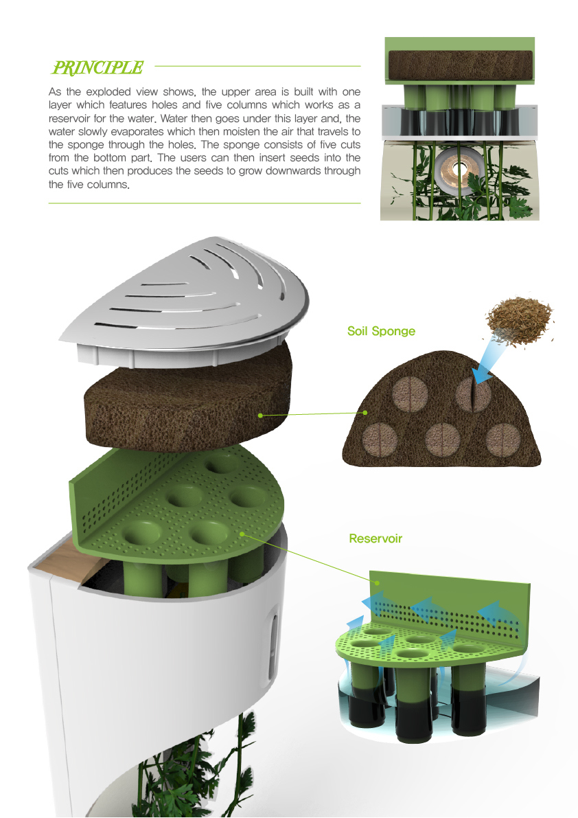 kitchen，ecology，Organic，Fruits and vegetables，plant，