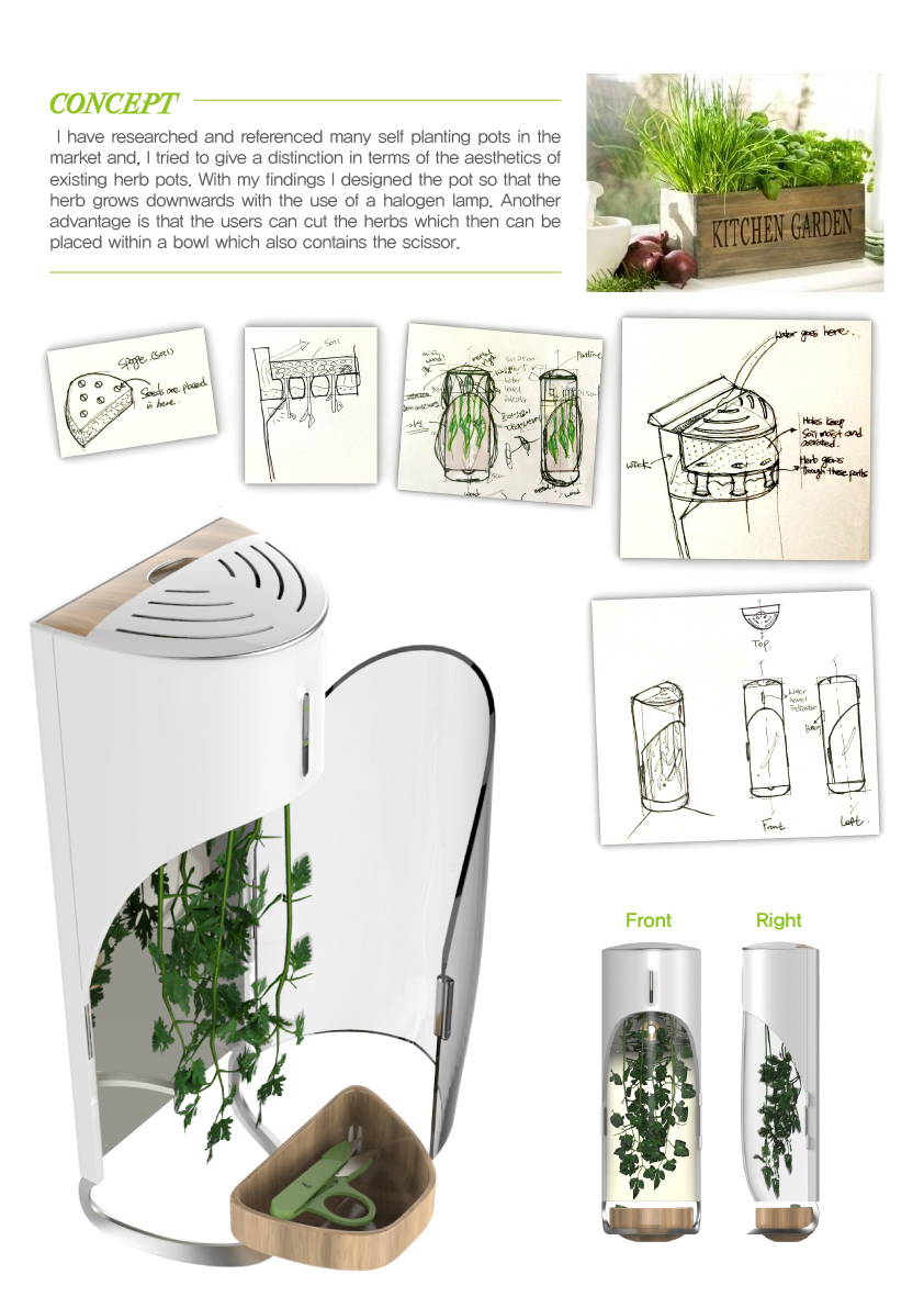 kitchen，ecology，Organic，Fruits and vegetables，plant，