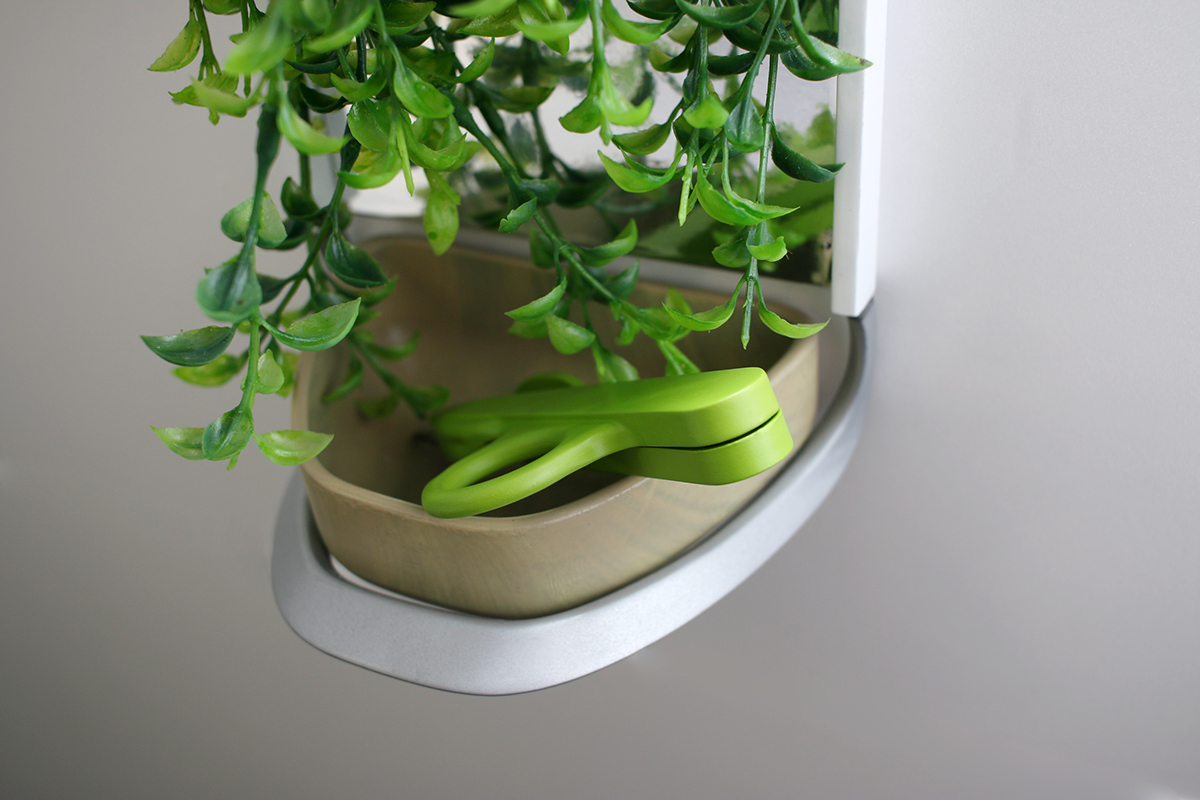 kitchen，ecology，Organic，Fruits and vegetables，plant，