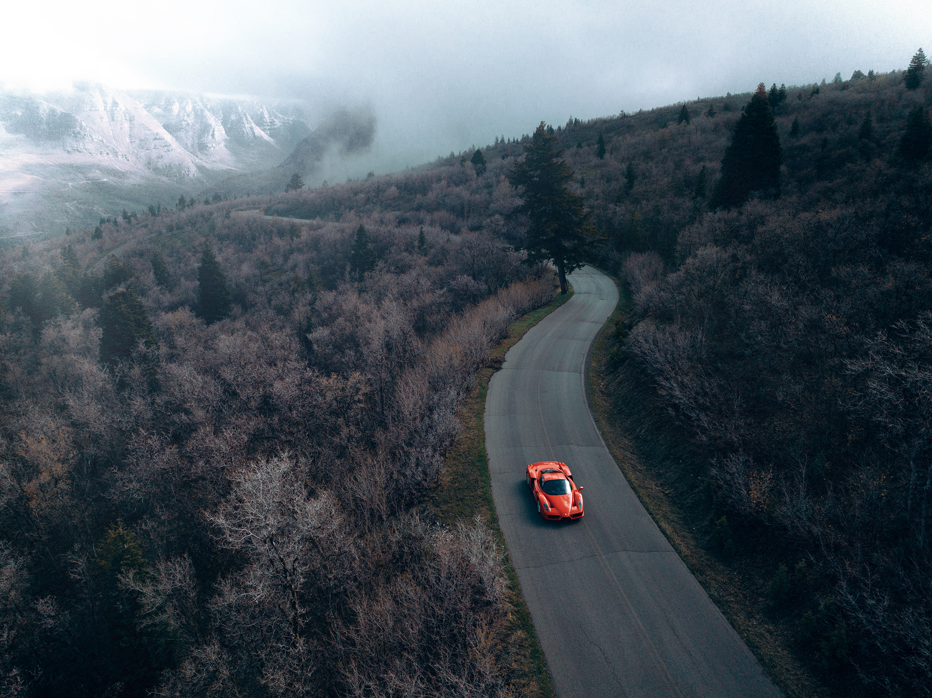 Aaron Brimhall，automobile，gules，FERARRI ENZO，Ferrari，