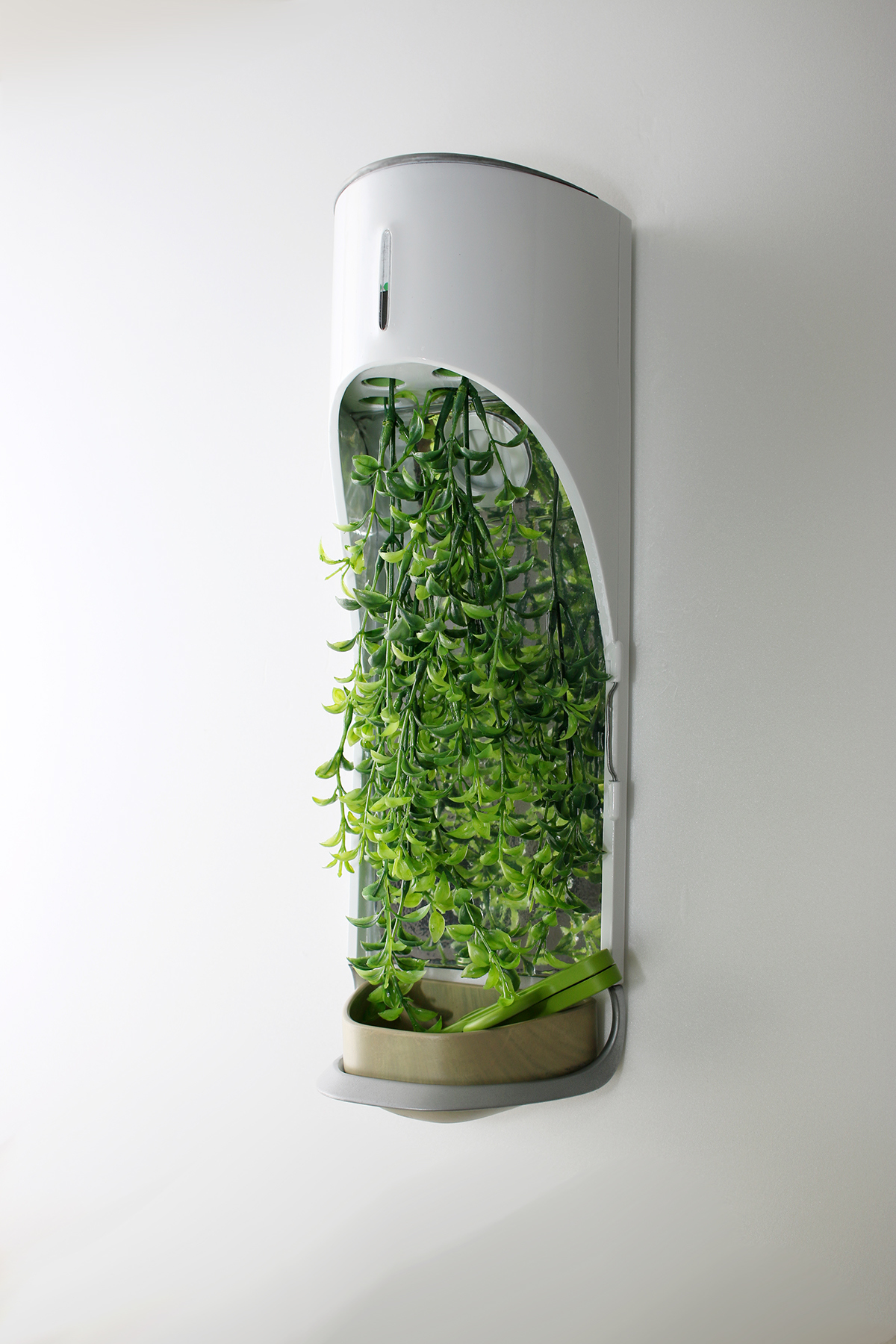 kitchen，ecology，Organic，Fruits and vegetables，plant，