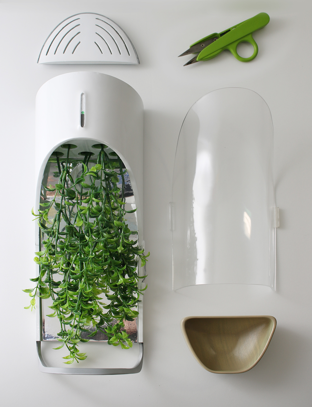 kitchen，ecology，Organic，Fruits and vegetables，plant，