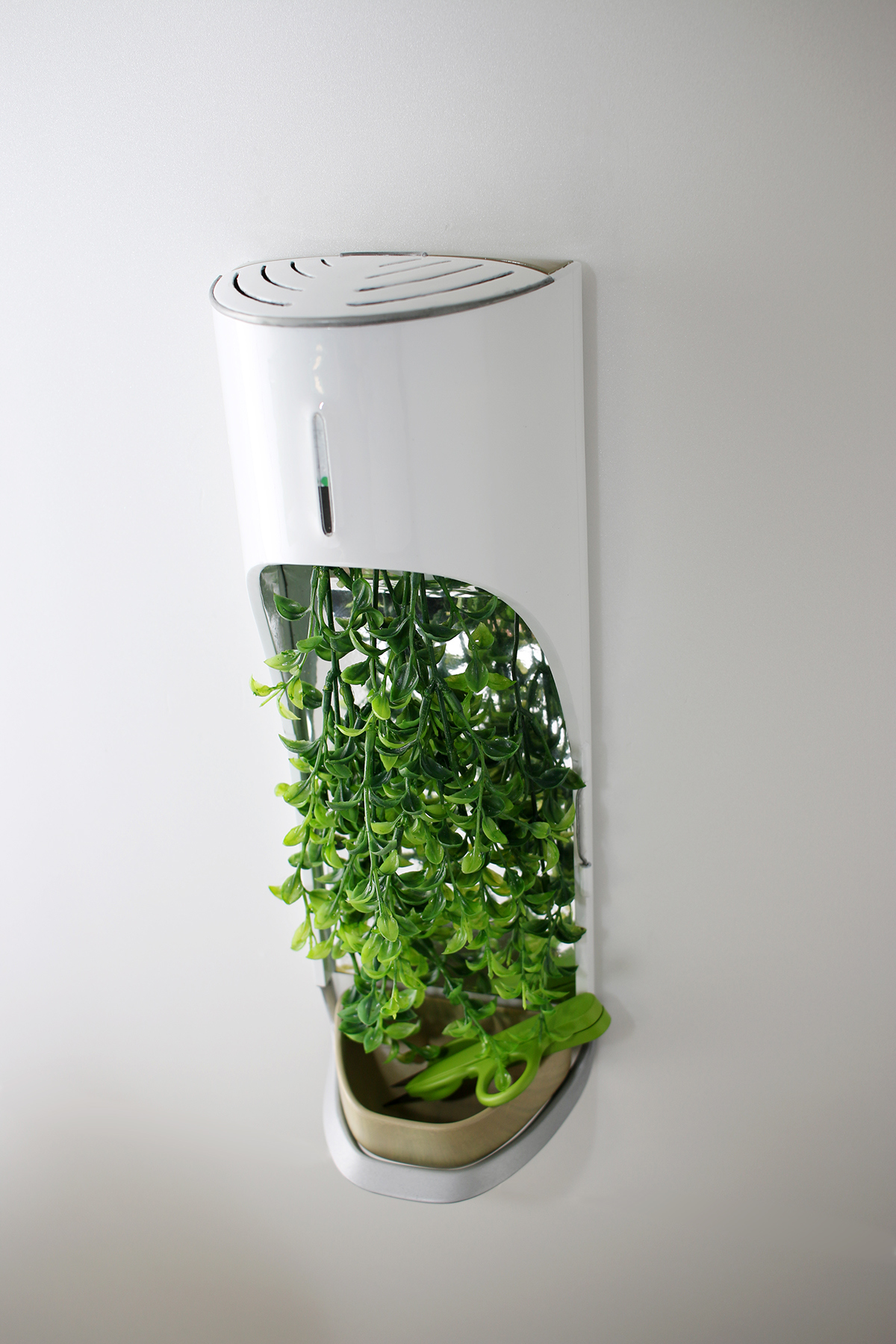 kitchen，ecology，Organic，Fruits and vegetables，plant，