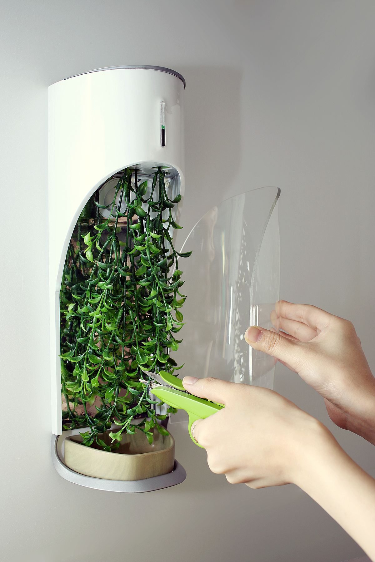 kitchen，ecology，Organic，Fruits and vegetables，plant，