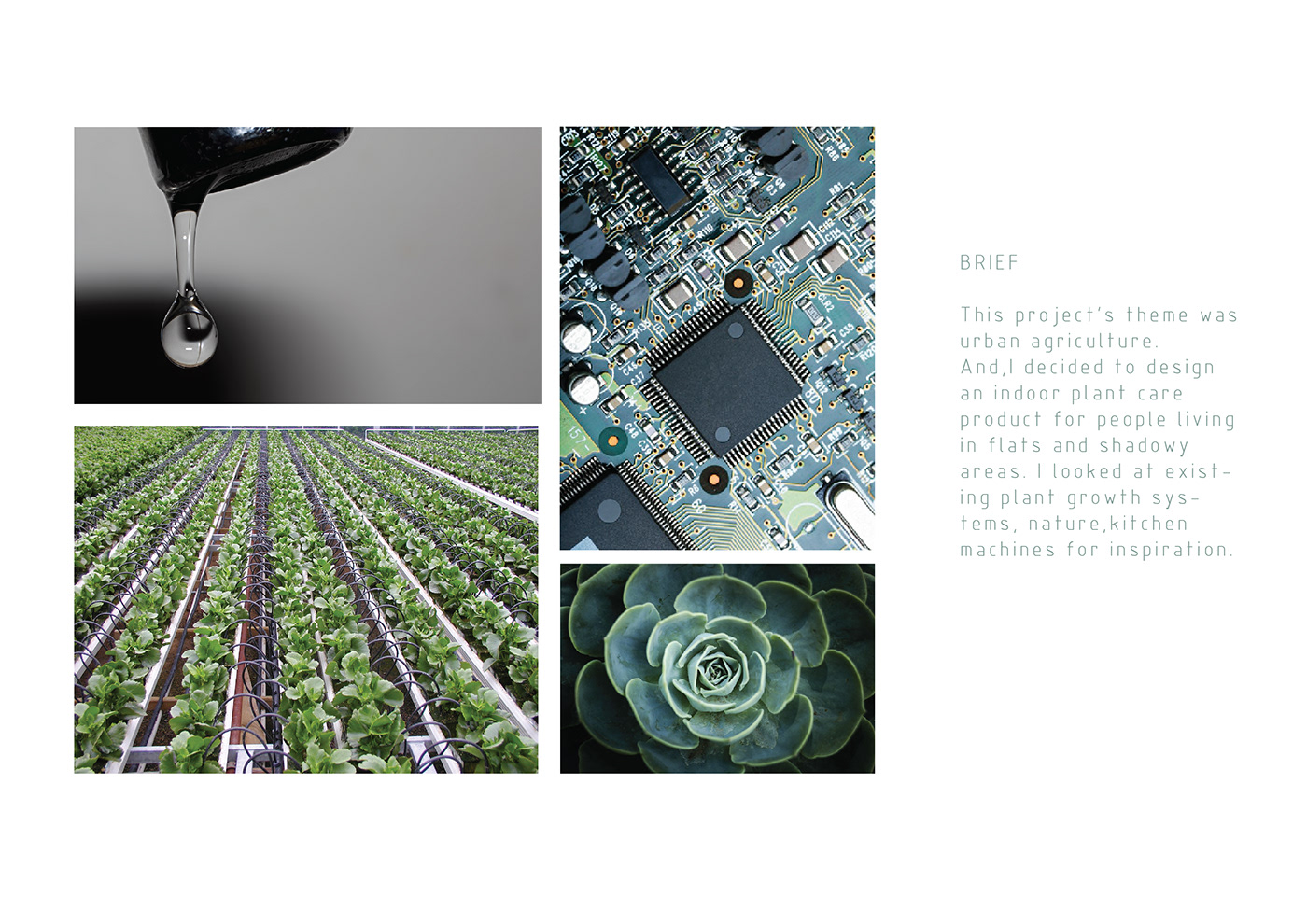 Agriculture，environment protection，Green plant，city life，