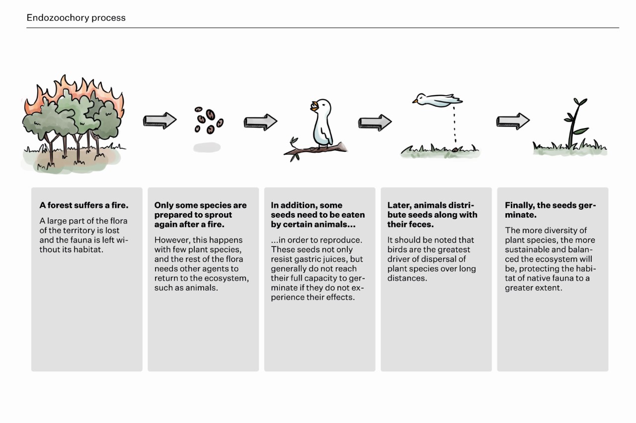 3D printing，environment protection，seed，