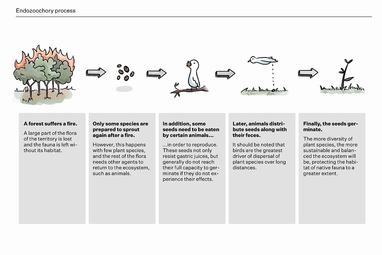 3D printing，environment protection，seed，