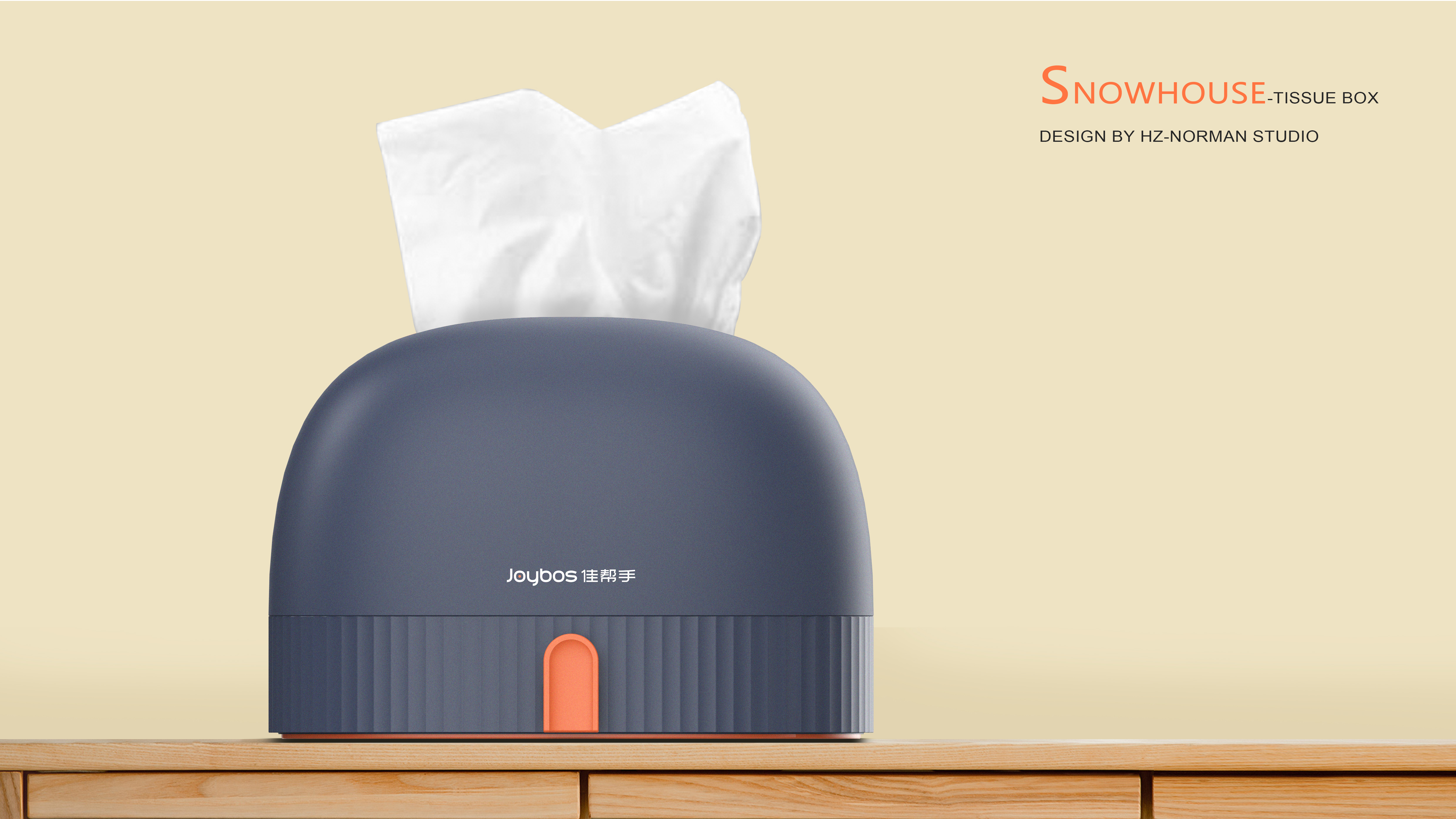 Tissue box，Snow house，