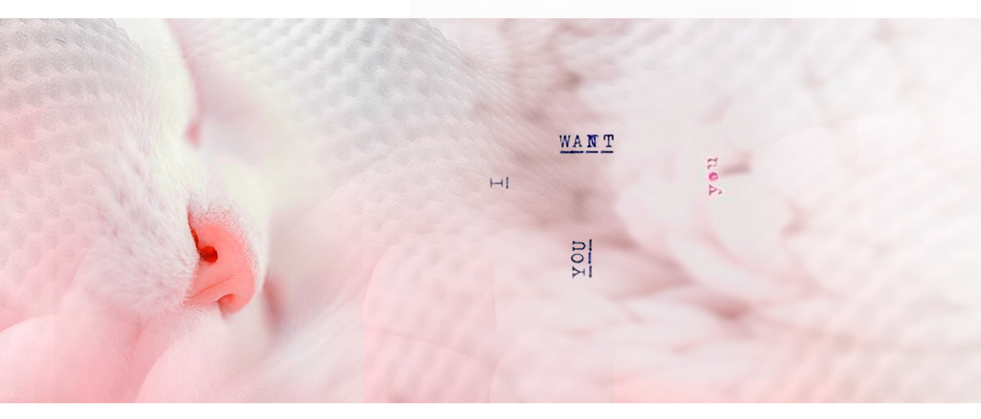 pillow，product design，Ergonomics，Feel U，