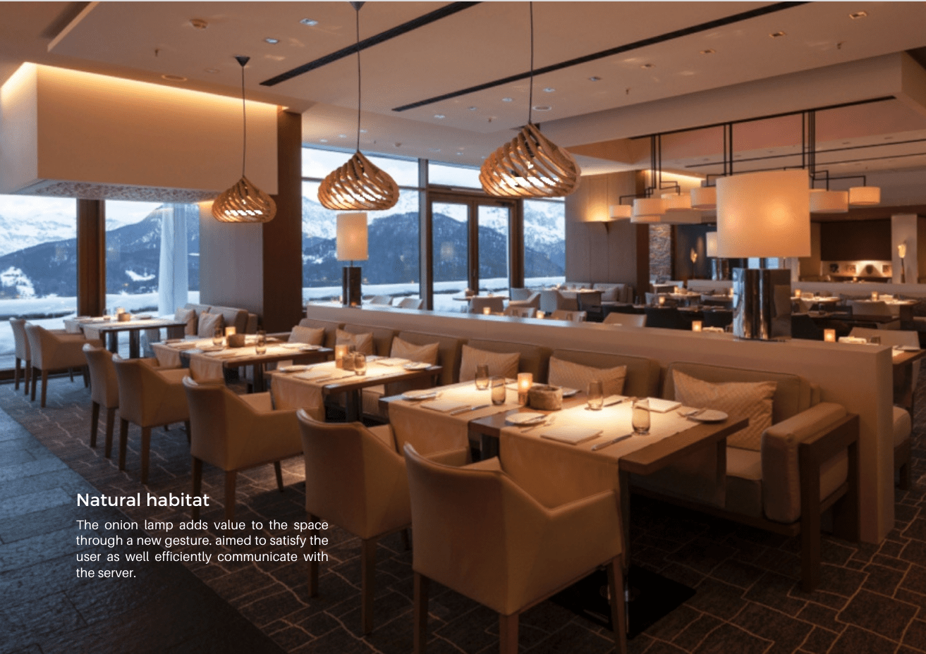 3d，onion，lamp，Interior design，