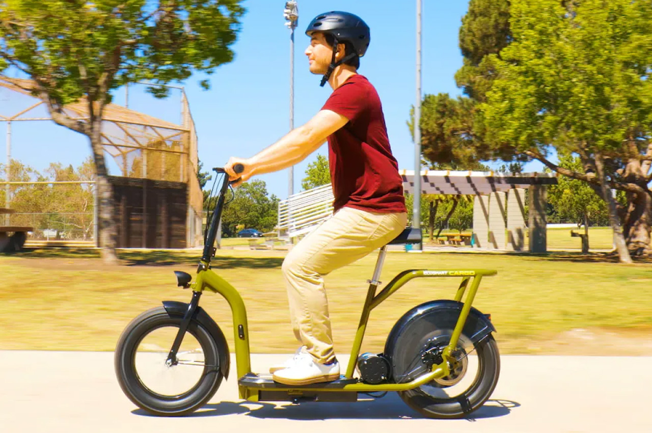 dogcart，transport，practical，