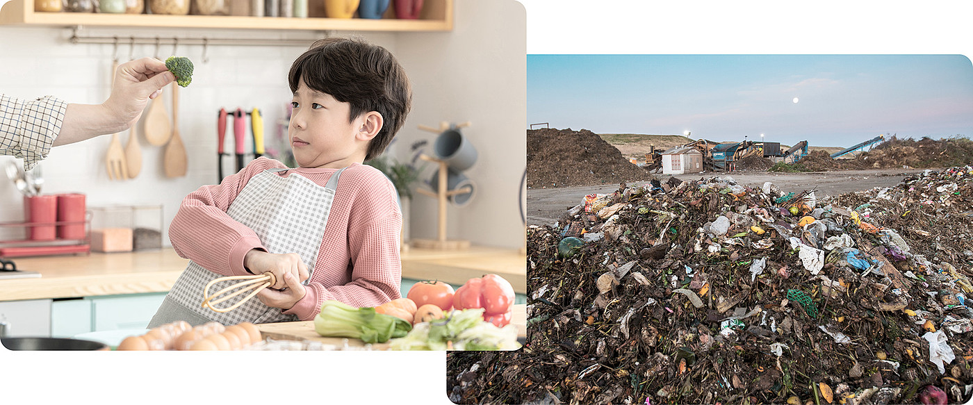 tableware，children，Picking food，