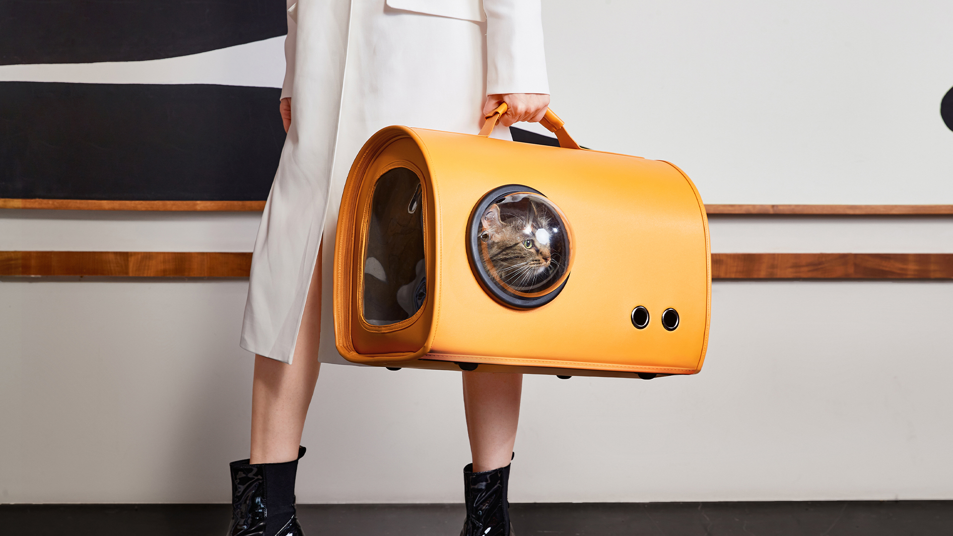 product design，Pet cart，Pet bag，