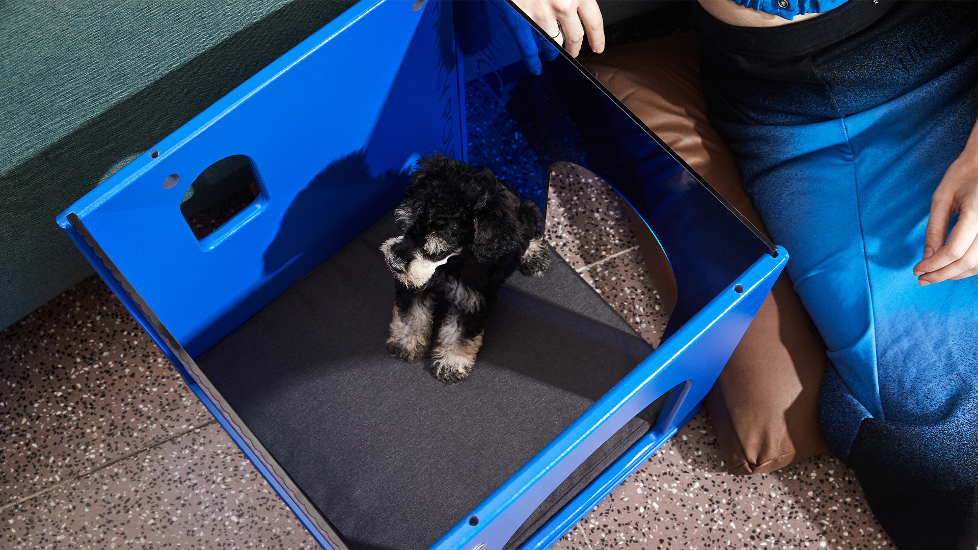 product design，Pet house，