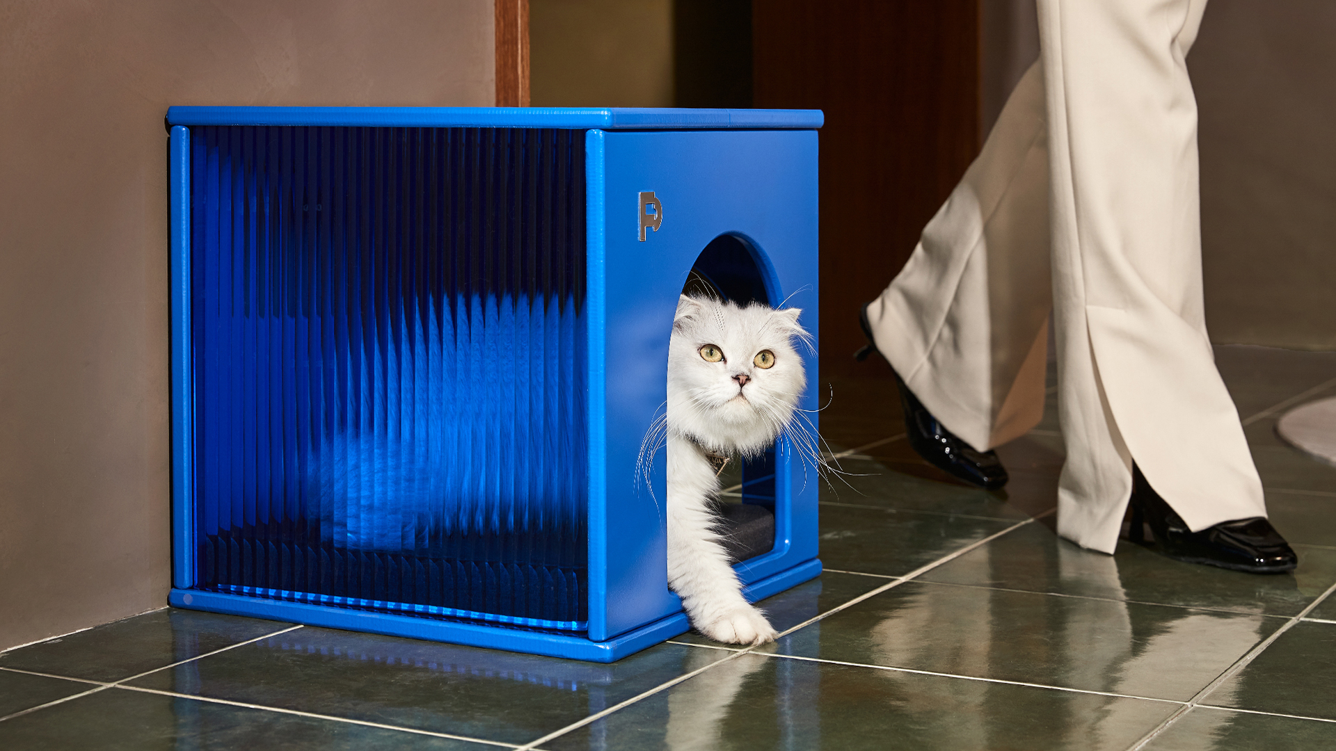 product design，Pet house，