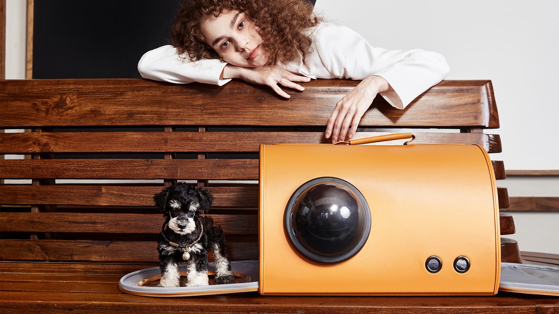 Pet Supplies & Pet，Bag，cat，dog，Pet travel，