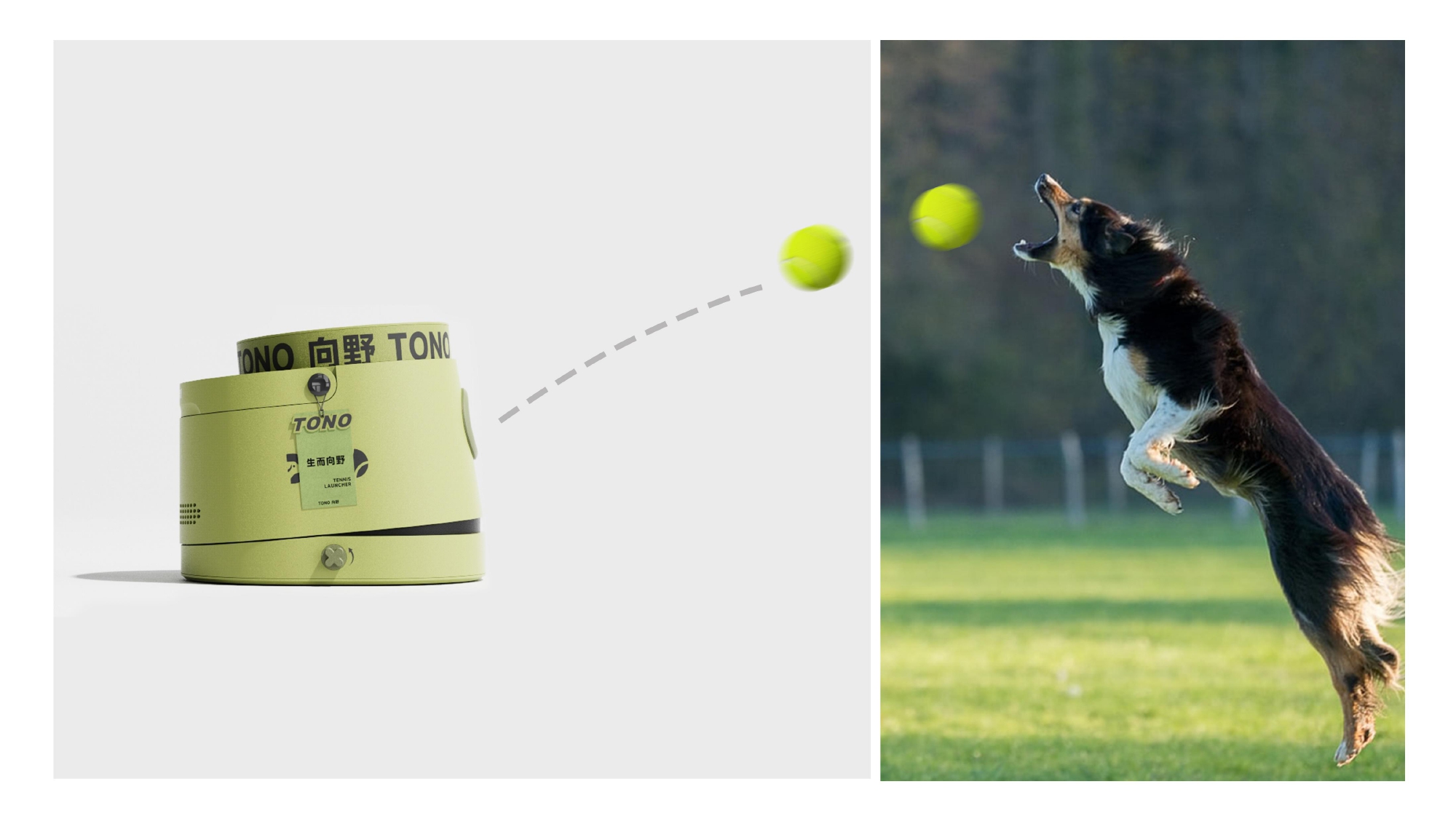 product design，industrial design，sample reels，Pet Supplies & Pet，Tennis launcher，Keyshot rendering，